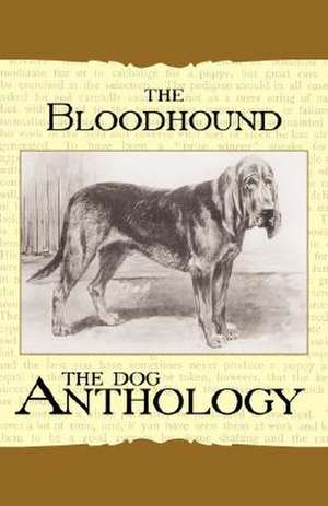 The Bloodhound - A Dog Anthology (A Vintage Dog Books Breed Classic) de Various