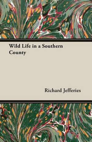 Wild Life in a Southern County de Richard Jefferies