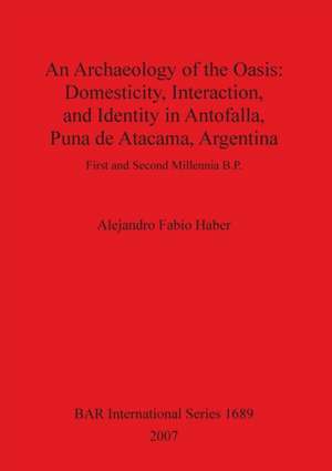 Archaeology of the Oasis: Domesticity, Interaction and Identity in Antofalla, Puna de Atacama, Argentina de Alejandro F. Haber