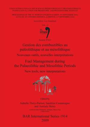 Fuel Management During the Palaolithic and Mesolithic Periods de Sandrine Costamagno