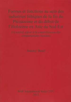 Formes Et Fonctions Au Sein Des Industries Lithiques de La Fin Du Pleistocene Et Du Debut de L'Holocene En Asie Du Sud-Est de Antony Borel