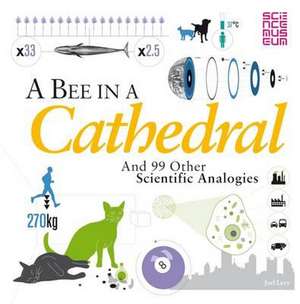 A Bee in a Cathedral: And 99 other scientific analogies de Joel Levy