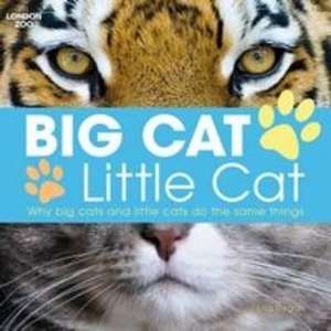 Big Cat, Little Cat de Lisa Regan