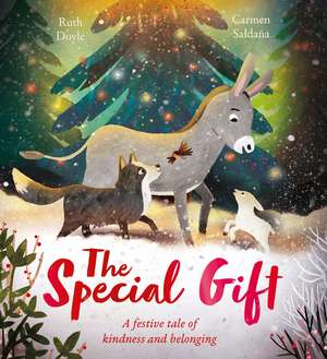 The Special Gift: A beautiful festive story to share at Christmastime de Ruth Doyle