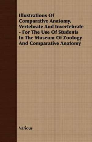 Illustrations of Comparative Anatomy, Vertebrate and Invertebrate - For the Use of Students in the Museum of Zoology and Comparative Anatomy de various