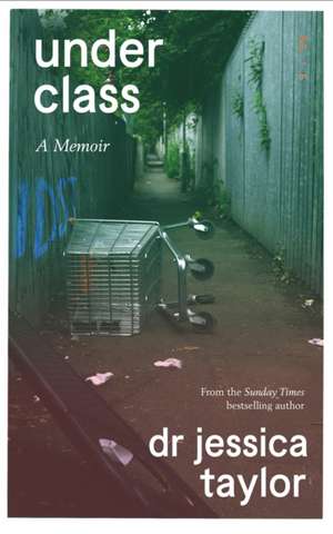 Underclass de Jessica Taylor