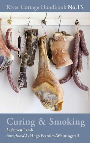 Curing & Smoking: River Cottage Handbook No.13 de Steven Lamb