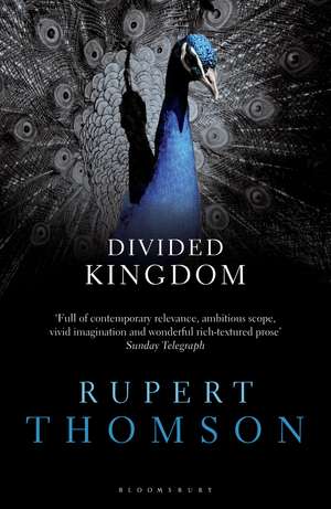 Divided Kingdom de Rupert Thomson