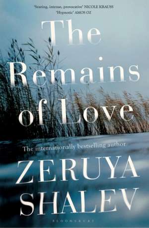 The Remains of Love de Zeruya Shalev