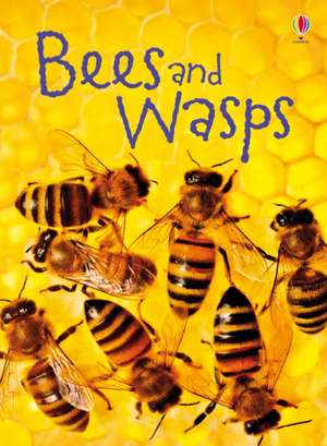 Bees and Wasps de James Maclaine