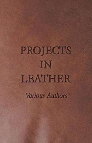 Projects in Leather de various