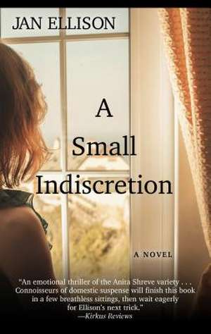 A Small Indiscretion de Jan Ellison