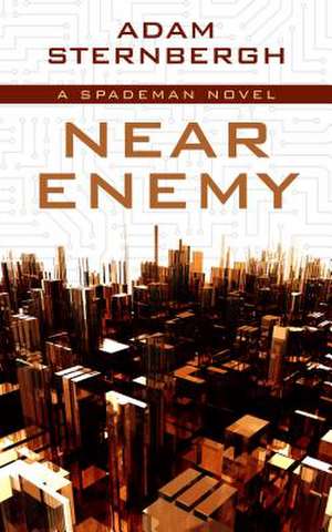 Near Enemy de Adam Sternbergh