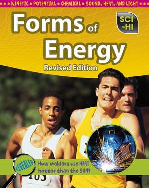 Forms of Energy de Anna Claybourne