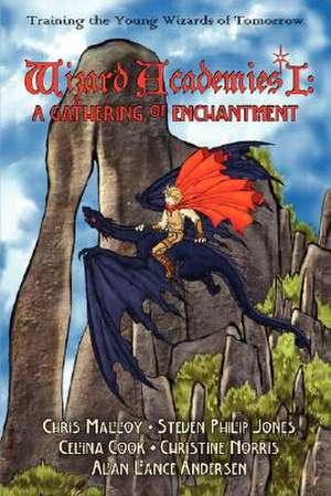 Wizard Academies I - A Gathering of Enchantment de Edited by Alan Lance Andersen