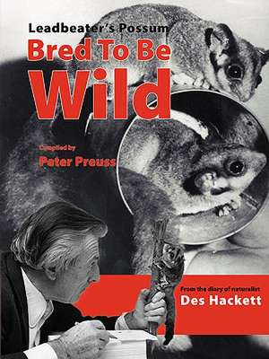 Leadbetter's Possum de Des Hackett