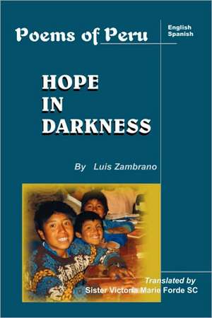 Hope in Darkness de Luis Zambrano