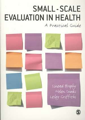 Small-Scale Evaluation in Health: A Practical Guide de Sinead Brophy