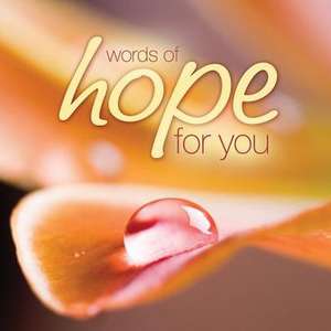 Words of Hope for You de Struik Inspirational Gifts