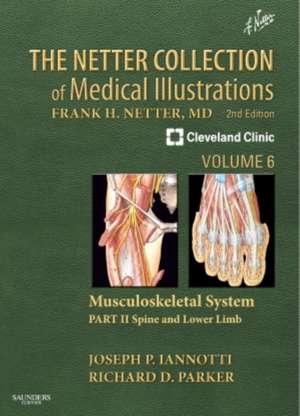 The Netter Collection of Medical Illustrations: Musculoskeletal System, Volume 6, Part II - Spine and Lower Limb de Joseph P Iannotti