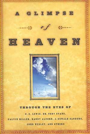 A Glimpse of Heaven: Through the Eyes of de LivingStone Corporation