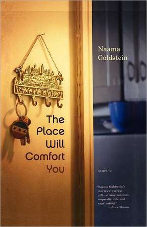 The Place Will Comfort You: Stories de Naama Goldstein