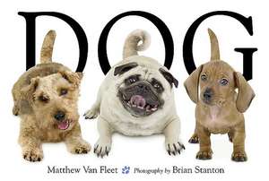 Dog de Matthew Van Fleet