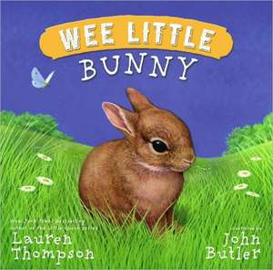 Wee Little Bunny de Lauren Thompson