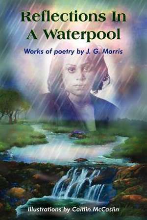 Reflections in a Waterpool: Reflections in a Waterpool; Dripping Rain; Light of Day de J. G. Morris