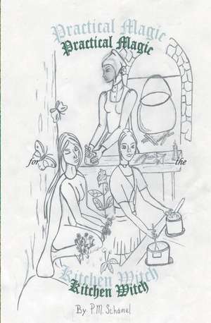 Practical Magic for the Kitchen Witch de P. M. Schamel