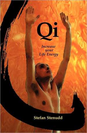 Qi: Increase Your Life Energy de Stefan Stenudd