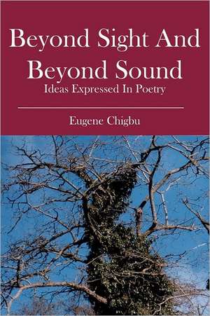 Beyond Sight and Beyond Sound: Ideas Expressed in Poetry de Eugene Chigbu