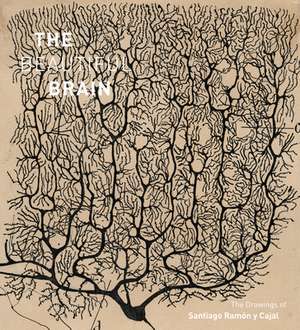 The Beautiful Brain de Javier DeFelipe