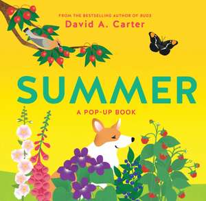 Summer: A Pop-Up Book de David A. Carter