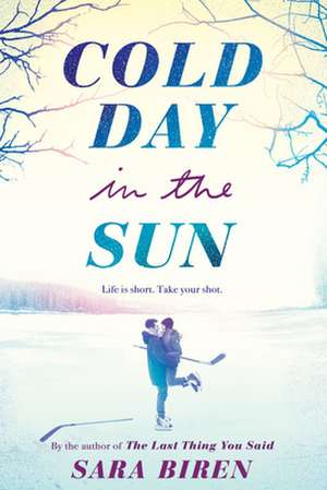 Cold Day in the Sun de Sara Biren