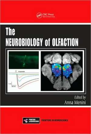 The Neurobiology of Olfaction de Anna Menini