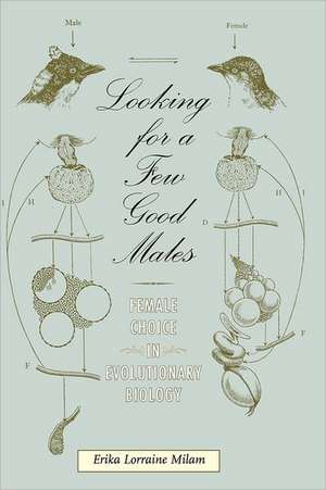 Looking for a Few Good Males – Female Choice in Evolutionary Biology de Erika L. Milam