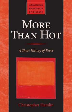 More Than Hot – A Short History of Fever de Christopher Hamlin