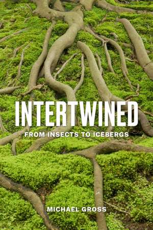 Intertwined – From Insects to Icebergs de Michael Gross