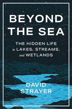 Beyond the Sea – The Hidden Life in Lakes, Streams, and Wetlands de David Strayer