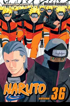 Naruto, Vol. 36 de Masashi Kishimoto