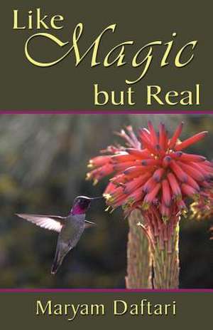 Like Magic But Real: A Story of Experience de Maryam Daftari