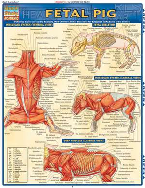 Fetal Pig Laminated Reference Chart de BarCharts Inc