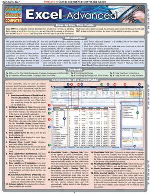 Excel-Advanced de John Hales