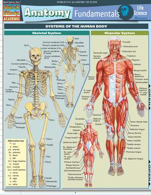 Anatomy Fundamentals de Barcharts