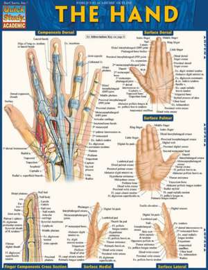 The Hand de BarCharts Inc