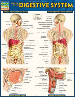 Anatomy of the Digestive System de Vincent Perez