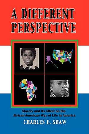 A Different Perspective de Charles E. Shaw