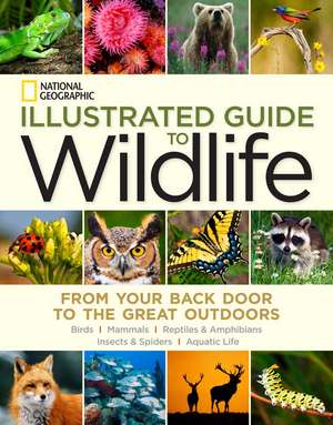 National Geographic Illustrated Guide to Wildlife: From Your Back Door to the Great Outdoors de National Geographic