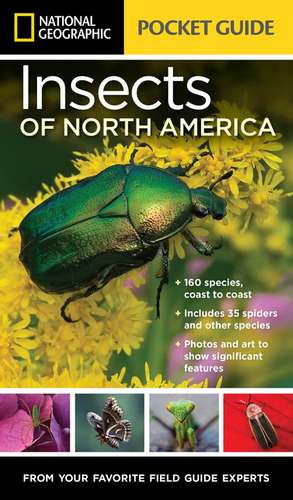 National Geographic Pocket Guide to Insects of North America de Arthur V. Evans